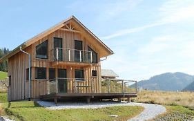 Wooden Chalet in Hohentauern with a Garden